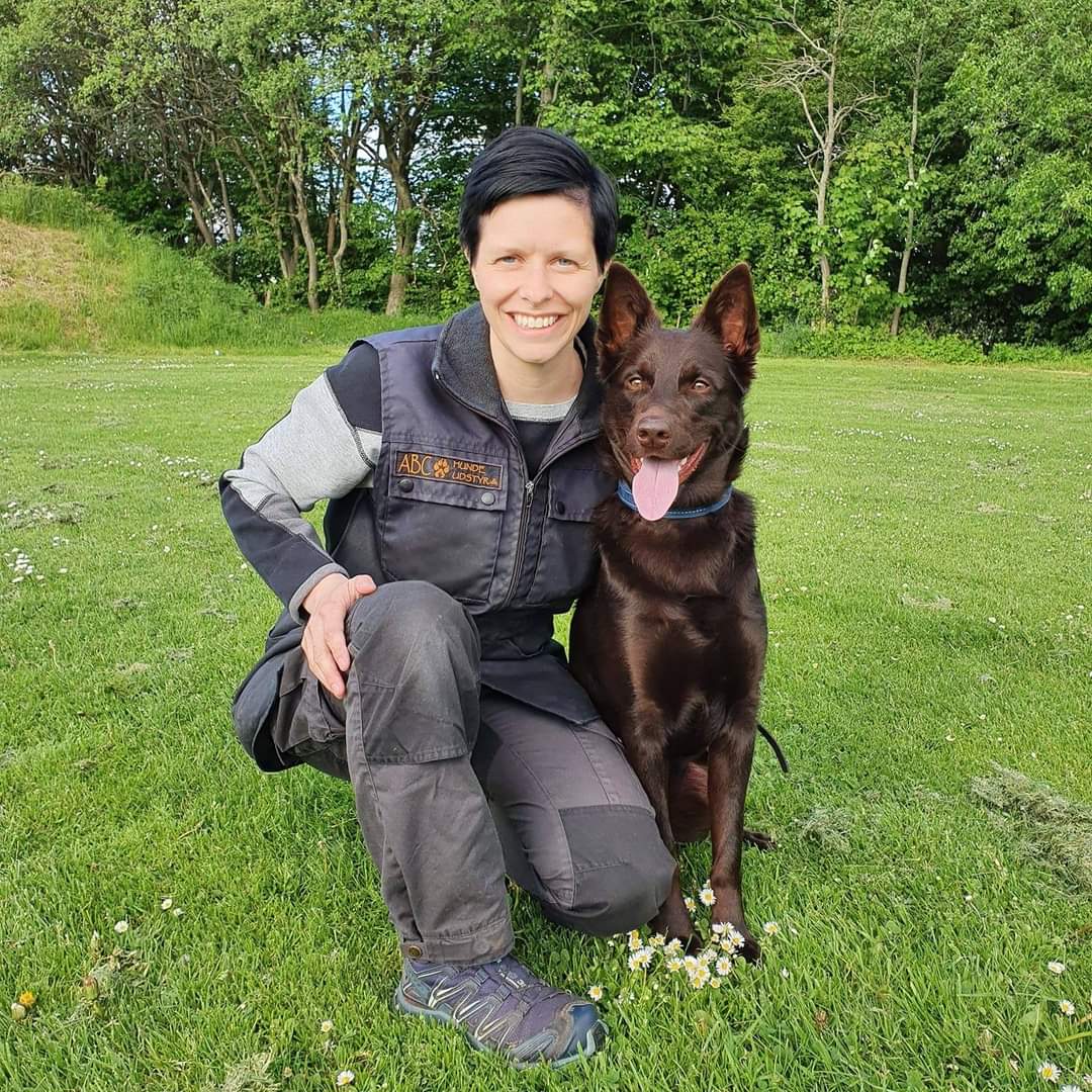 FB_IMG_1665088020144